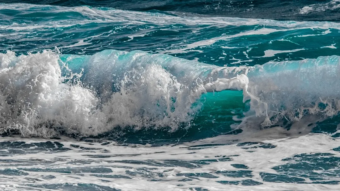 Denise van Deesen surf..png